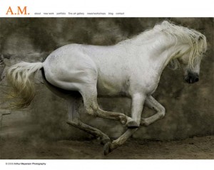 Arthur Meyerson Photography home page